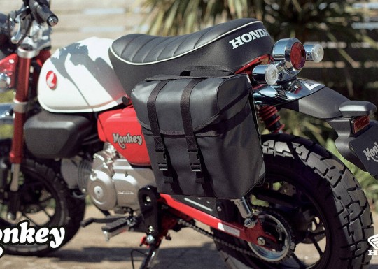 525866_25YM_Honda_Monkey_125.jpg